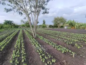 1 & 2-Acre Residential Land Parcels for Sale, Athi River