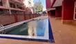 3 Bedroom Apartment + DSQ for Rent in Kilimani - KES 110,000/month - 5