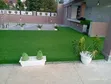 Artificial Turf Grass - No Maintenance - 2