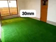 Artificial Turf Grass - Low Maintenance, All-Year Green - 1