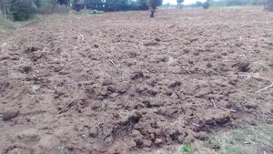 Penthouse Agri Lands for Sale in Ndurumo
