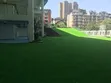 Artificial Turf Grass - Forever Green Garden - 2