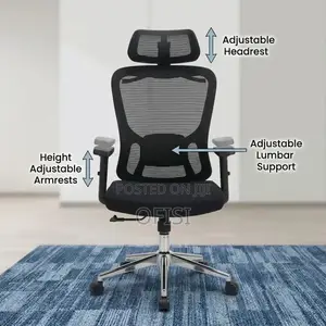 Kiti cha Ofisi: Ergonomic High Back Computer Chair