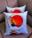 Throw Pillows & Cases - Various Designs - 3