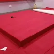 Carpet ya Premium USA Ukutani hadi Ukutani - 2