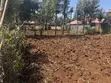 1/8 Acre Plot for Sale - Kibiku-Chavara Road - 4