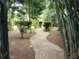 3 Bedroom Bungalow for Rent in Karen, Hillcrest - 3