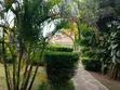 3 Bedroom Bungalow for Rent in Karen, Hillcrest - 4