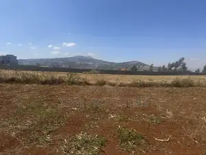 Prime 1/8 Acre Plot in Kibiku, Chavara