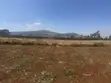 Prime 1/8 Acre Plot in Kibiku, Chavara - 1