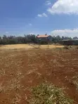 Prime 1/8 Acre Plot in Kibiku, Chavara - 2