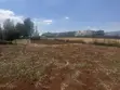 Prime 1/8 Acre Plot in Kibiku, Chavara - 5