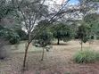 Ardhi Bora Kilimani - 0.5 Eka - 2