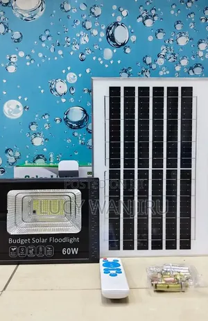 60W Floodlight - Budget Brand