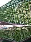 Artificial Ivy Privacy Fence Roll - Kijani - 2