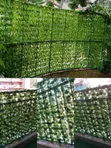 Artificial Ivy Privacy Fence - Skrini ya Kijani ya Balcony - 1
