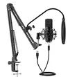 Amcrest AM430-BPS Studio Condenser Mic Kit - 2