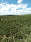 Laikipia North Eka 12,500 na Mto wa Kudumu - 2