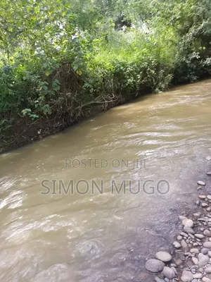 Laikipia North Eka 12,500 na Mto wa Kudumu
