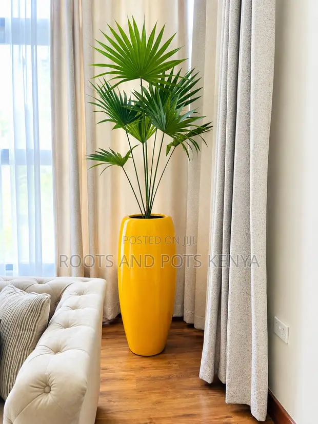 Plants and Pot - 1