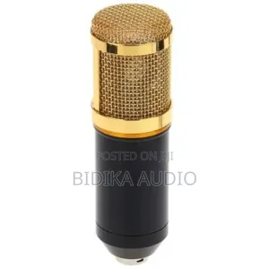 BM-800 Condenser Microphone with Shock Mount - Black