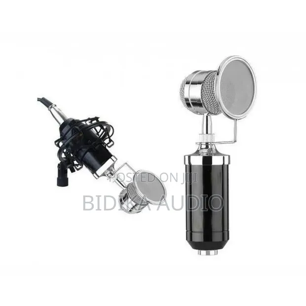 BM-8000 Condenser Microphone with Shock Mount - 1