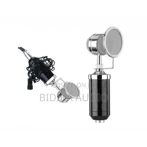 BM-8000 Condenser Microphone with Shock Mount