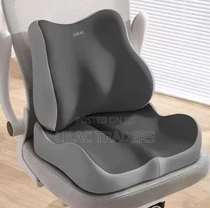 2-in-1 Ergonomic Back Support Seat Cushion