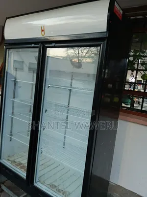 Fridge Repair and Service