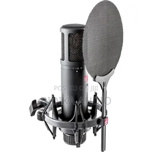 sE Electronics sE2200 Microphone Kubwa ya Condenser