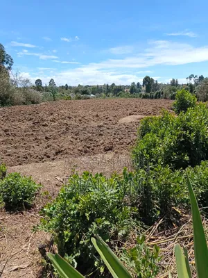 2 Acre Land in Ndaragwa | Ready Title | Farming | Home