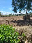Eneo la Eka 2 Ndaragwa | Hati Tayari | Kilimo | Makazi - 3