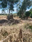 Eneo la Eka 2 Ndaragwa | Hati Tayari | Kilimo | Makazi - 4