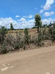 Eneo la Eka 2 Ndaragwa | Hati Tayari | Kilimo | Makazi - 5