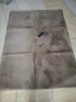 5x8 Rabbit Fur Quality Carpet - 2