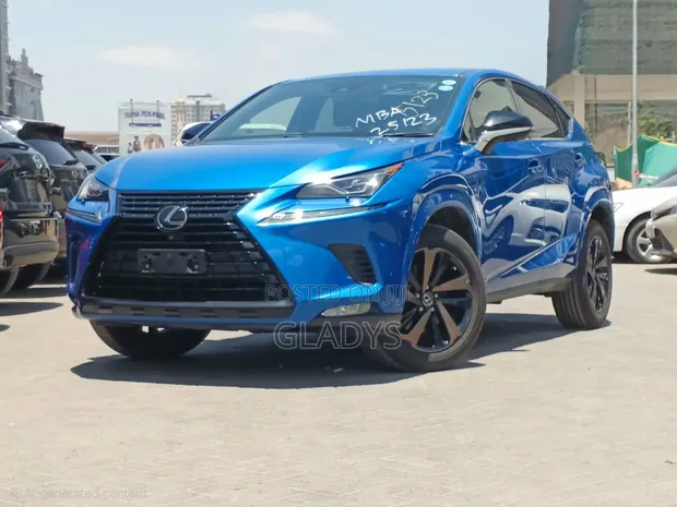 Lexus NX 300 Sport 2020 - 1