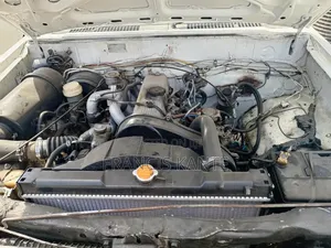 Mitsubishi L300 2014 Nyeupe