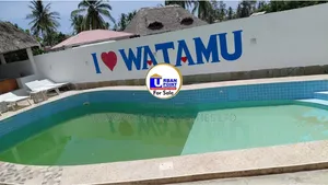 Nyumba ya Vyumba 8 Iliyo na Samani na Dimbwi la Kuogelea, Watamu, Inauzwa