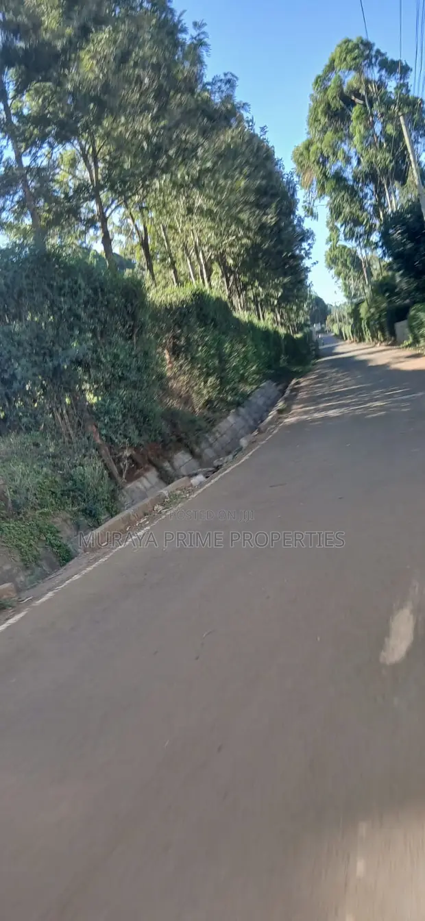 1/4 Eka Kiwanja Prime cha Kuuzwa - Kerarapon Drive - 1