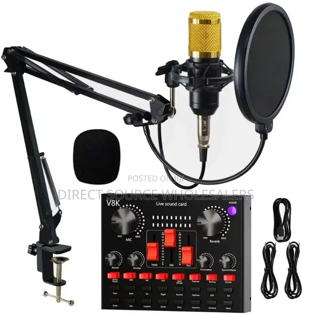 BM800 V8SK Condenser Microphone for Live Recording - 1