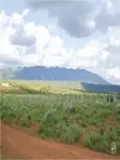 Land for Sale in Kimuka, Ngong - 2