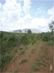 Land for Sale in Kimuka, Ngong - 4