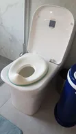 Portable Potty Training Seat - 2