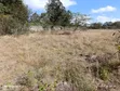Eneo la Ekari 5 Karen Linauzwa - 4