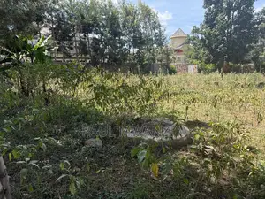 Prime Quarter Acre Plot for Sale in Elgon View