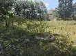 Prime Quarter Acre Plot for Sale in Elgon View - 1