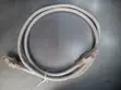 Cat6 RJ45 UTP Patch Cable – 1 Meter - 2