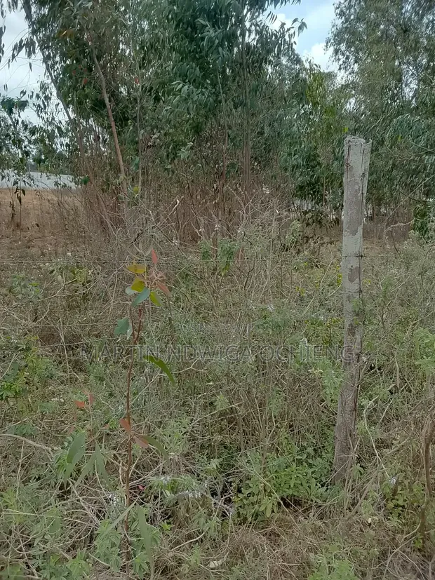 Prime 1/2 Acre Land on Bogani Road, Karen - 1