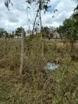 Ardhi ya Eka 1/2 Mbezi Bogani, Karen - 2