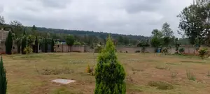Nyumba ya Ghorofa 6 Mtaa wa Karen C Inauzwa